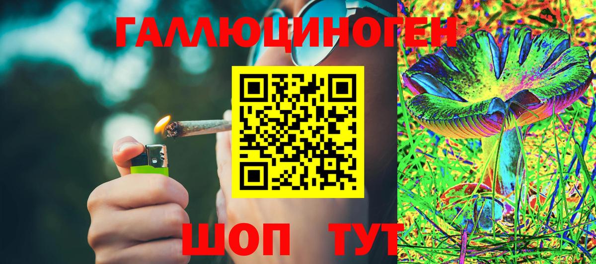Волжский  Псилоцибиновые грибы MAGIC MUSHROOMS  Вход с VPN 